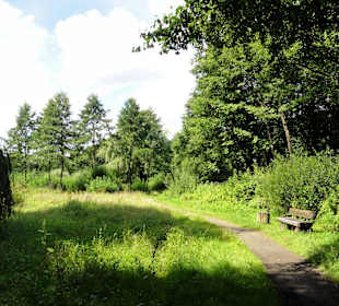 Unterwegs auf dem Huntepadd