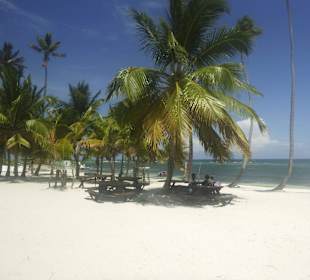 Mehr Karibik geht schon nicht, oder?