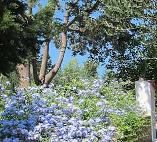 Frauenkloster Agios Ioannis