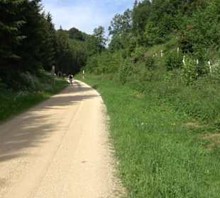 Phäno-Pfad Aichstetten