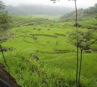 Einmalige & unvergessliche Privattour ins Hinterl.