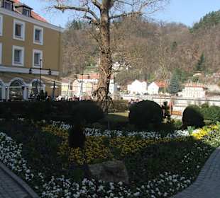Fiori al centro