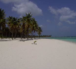 Einsamer Strand auf Saona