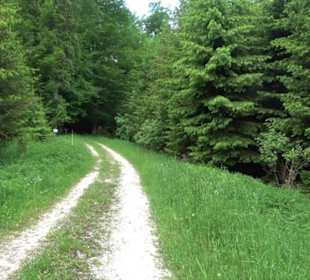 Klimaweg Sonnenalb