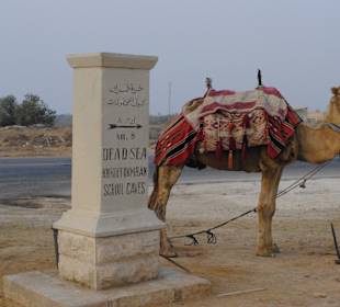 "Reise nach Jerusalem"  Beim Frühstück in Israel 