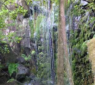 Wasserfall Levada Cedros