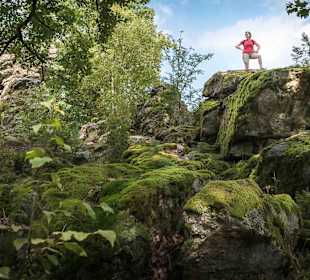 Wandern Geisfeld