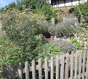 Wurzgarten