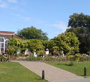 Blick zum Rosengarten