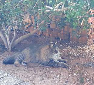 Nationalpark Kap Greco