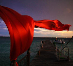 El viento