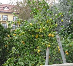 Spaziergang an der Strandpromenade