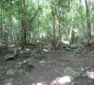 Ausflug mit Daniel zu den Maya Ruinen in Muyil