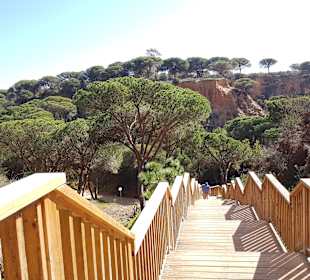 Strand Olhos de Água