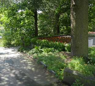 Parkanlage Planten un Blomen