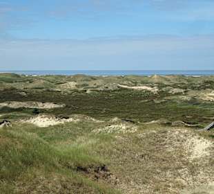Norddorfer Aussichtsdüne - Dünen, Strand, Nordsee 