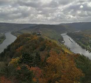 Wandern Burg (Mosel)