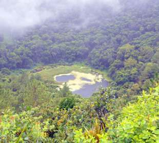 Mauritius Andrea Rodrige deutscher Tourist Guide