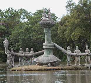 Schlange und Schildkröte