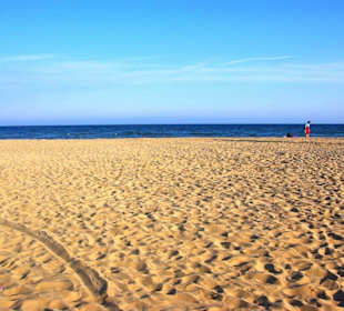 Freier Bereich Hundeverbot