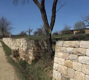 Premiumwanderweg "hochgeblickt"