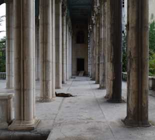 Ruine des Sanatoriums