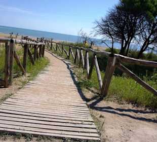 Zum Strand runter auch da möglich