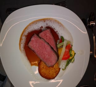 Gastro