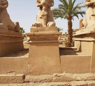 Widder Statue Eingang Tempel