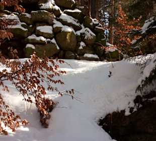 Tiergehegewanderung