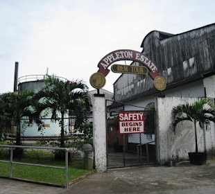 Rum