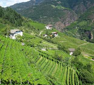 Blick aus der Seilbahn auf die Umgebung
