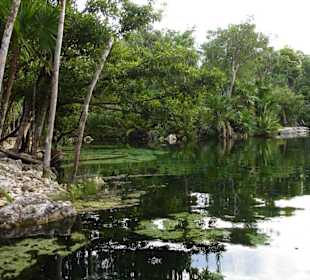 Cenote Azul