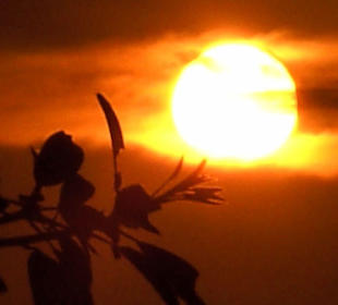 Sonnenuntergang Legian Beach