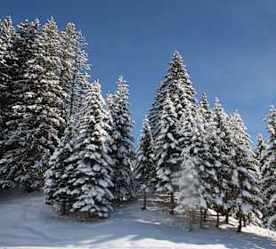 Skigebiet Damüls-Mellau