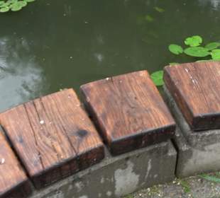 Fischlehrpfad Neu-Ulm