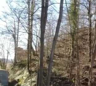 Burgruine Wehrstein Fischingen