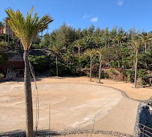 Strandwandern Costa Calma