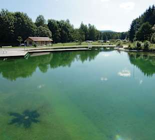 Natur Badesee 