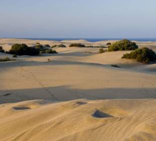 Dünen von Playa del Ingles Gran Canaria 01