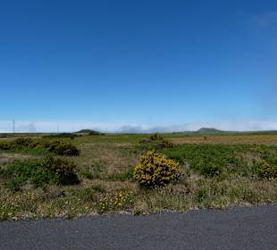 Sommer auf der Hochebene Paul da Serra