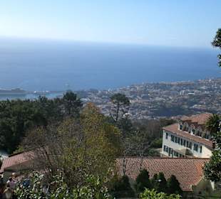Blick auf die Fantasia im Hafen von Funchal