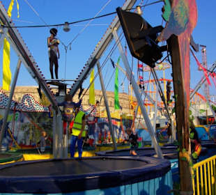 Springburg am Haupteingang