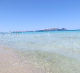 Kristallklares Wasser