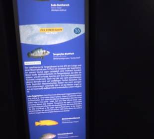 Aquarium
