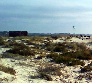 Restaurant Cabanas Beach in Cabanas