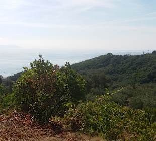 Inselrundfahrt Korfu