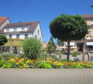 Niederbronn les Bains