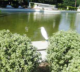 Beverly Gardens Park