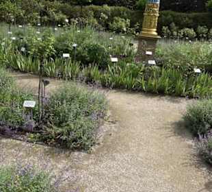Rosengarten auf der Roseninsel